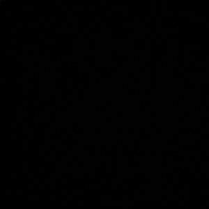 Meet your Posher, lee